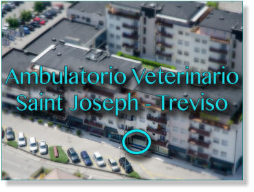 Veterinario Treviso, Quartiere San Giuseppe - Ambulatorio Saint Joseph